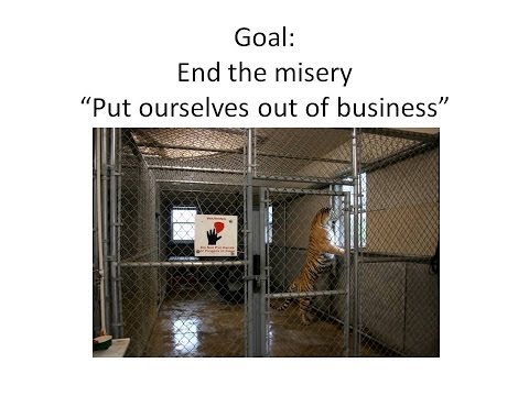 Howard Baskin - This episode of Cat Chat features Howard Baskin, Carole Baskin's husband and CFO of Big Cat Rescue presenting to The Body Shop, their PR firm and journalists...