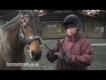 How and Why you Lunge a Horse