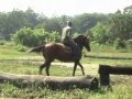 Equitação Leiteiros 2008