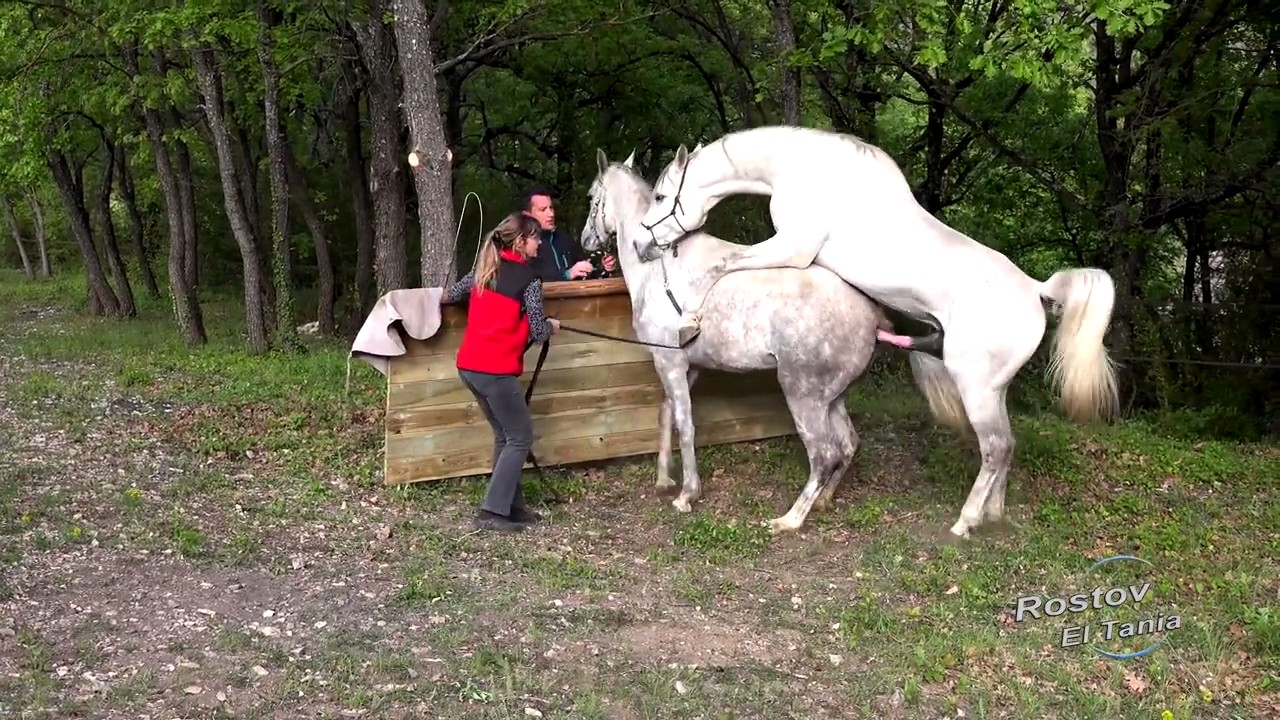 Фильмы Спаривание Девок Плоть Вибратор