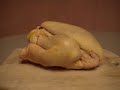 le cod est mort