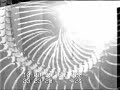 Cyclotimia - Algorithms