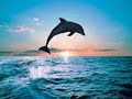 Oceano -- Sung by Josh Groban