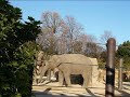 elephantimelapse