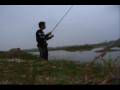 Snakehead fishing,C�u c�,cau ca, Fishing funny,fishing fun