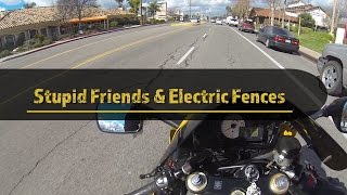 Stupid Friends & Electric Fences