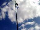 My Bungee Jump