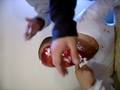 videos de mordisquito 3
