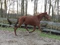 tjitske en maurits at work