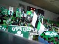 Panathinaikos fans at Modena volleyball final4 2003-04 Panathinaikos fans at Modena volleyball final4 2003-04