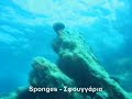 Alexis bay. Kalymnos island Greece