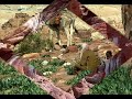 Petra: the rose-red city