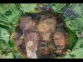 VISUALIZACION GRATITUD.avi