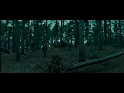 Harry Potter und die Heiligtümer des Todes - Official German / Deutsch HD Trailer 2010