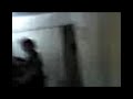arañana del satiro