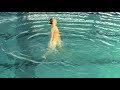 Solo de Margaux Chretien N1 junior 2008 Natation Synchronisé