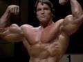 Arnold-Schwarzenegge