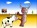 el toro y la vaca el toro y la vaca