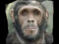 Evolution of Ahmadinejad Evolution of Ahmadinejad