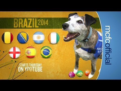 CityTV WORLD CUP PREDICTOR | Dougie the Dog