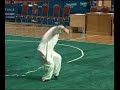 Funai Yang taichi  laojia
