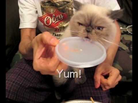 Winston on yummy