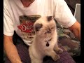 Winston on yummy