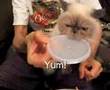 Winston on yummy