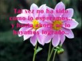 Yo te seguiré [♥..] Letra-Pancho Voces y Orquesta