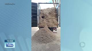 Acidente em Herculândia: homem morreu asfixiado por palha de amendoim