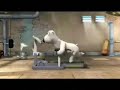 orso joggi