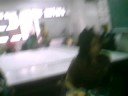 BSECE 5A CLIPS (Prelude) BSECE 5A CLIPS (Prelude)