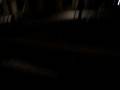 videos de MOV03786.MPG