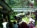 Trip up Mt. Floien in the funicular