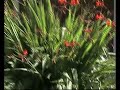 samsung mx10 test 2
