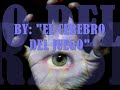 LA CAIDA DEL HIPOPOTAMO...