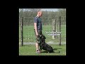 Attos von der Mattesburg-Easy von der Tonberger Höhe