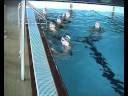 Tuffo a Dorso 2.wmv Tuffo a Dorso 2.wmv