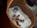 Payton James Adamson