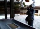 函館護國神社烏鴉叫