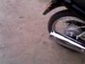 videos de cg al corte