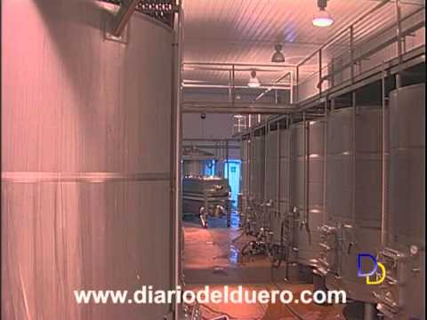 Imagen de previsualización de YouTube