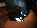 091206_gustav.MOV