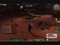 Age of Conan PvP Bear Shaman