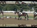 Jennifer Holder and Bolivia- KHP
