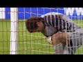 kaleciyi az kalsin rakisina meze yapacakmis suarez. 60 metreden. http://www.youtube.com/watch?v=goklaAd0N84&feature=fvwrel