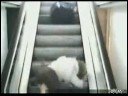 Old Lady falls down escalator