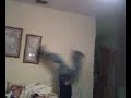 The flip