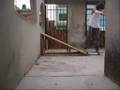 skate de patio diego 420 skate team