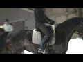 Contact Saddles / Helm Saddles